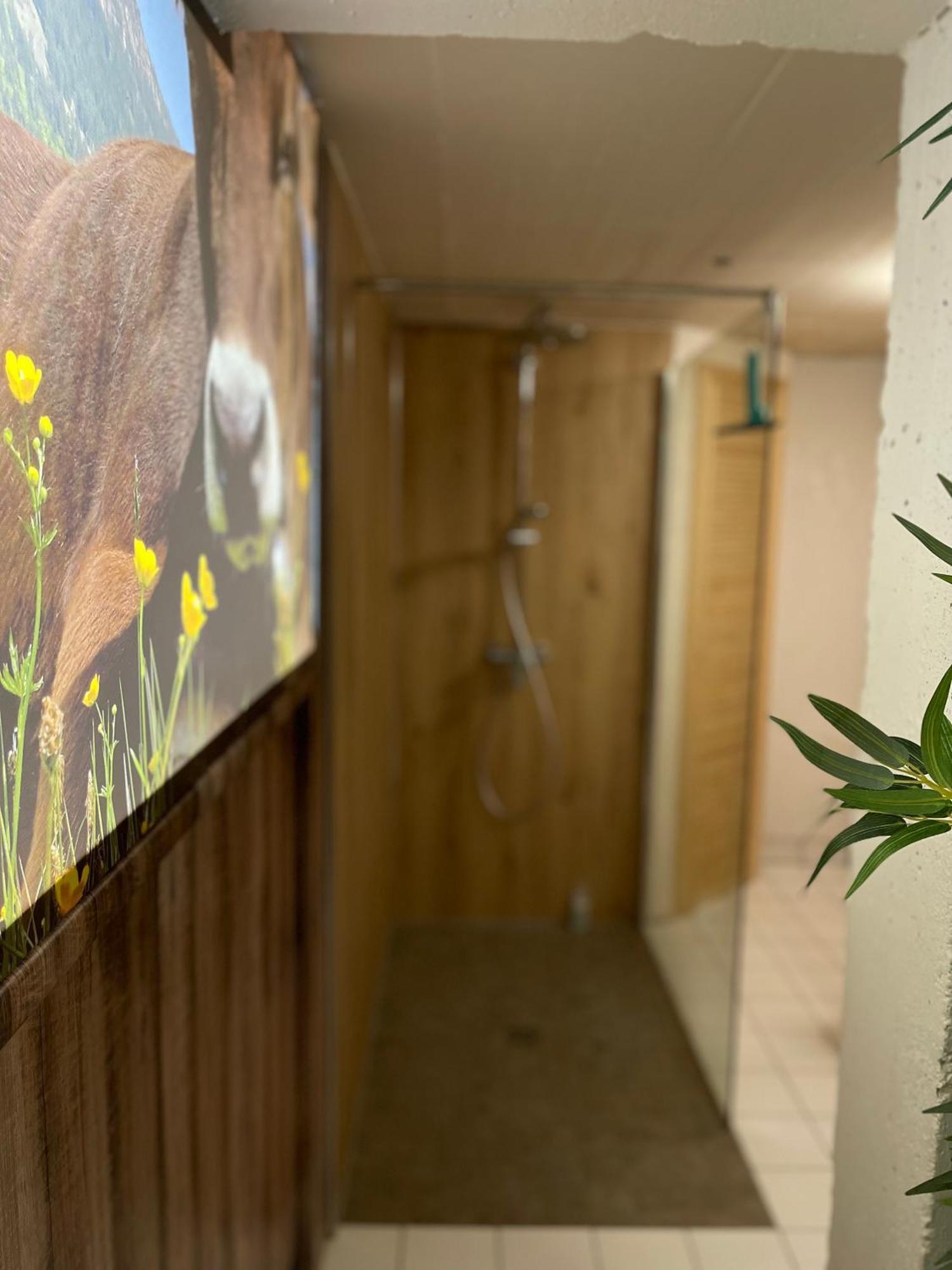 אוברסטדורף Ferienwohnung Am Muhlbach 21 Mit Bergbahn Unlimited מראה חיצוני תמונה